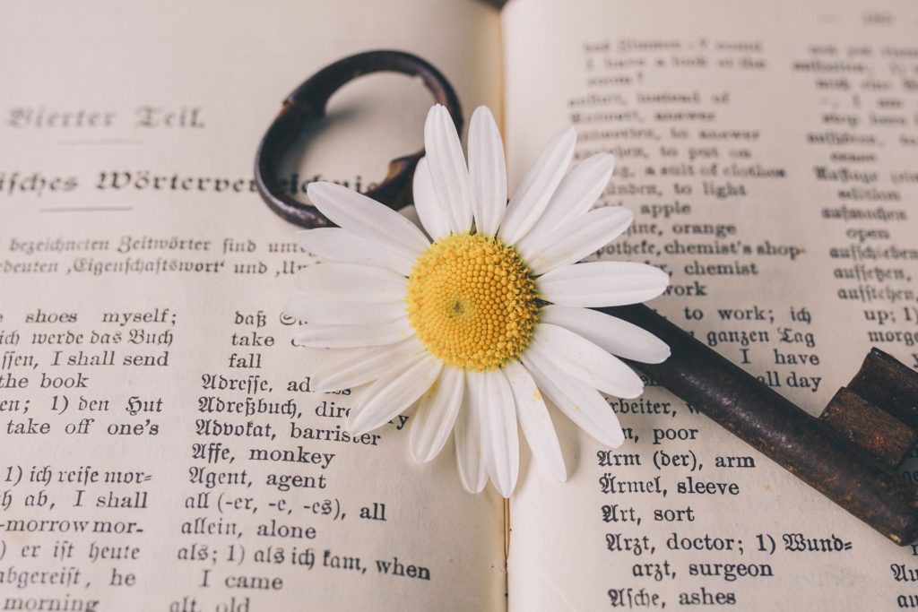 obrazok knihy na ktorej leží kovový kľúč  a kvetina margarétky
