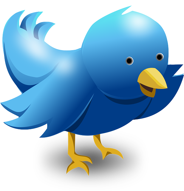 Ikona Twitter vtáčik